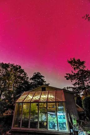 <b>The northern lights turn the sky a fuchsia color with streaks and stars in Wantage on Thursday, Oct. 10. (Photo courtesy of Cheryl Fleishman)</b>