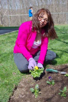 Photos by Chris Wyman Naomi Furrey of the Vernon PAL plants pansies donated by Heaven Hill Farm.