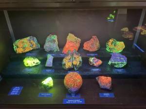 Franklin's world-famous fluorescent rocks were a tremendous crowd pleaser (Photo by Janet Redyke)