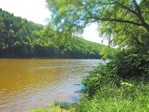 The Delaware River (Photo by Pamela Chergotis)