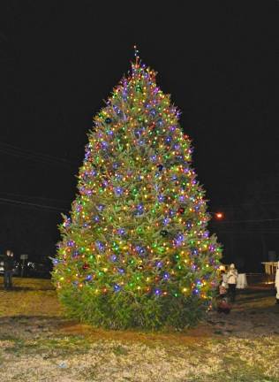 <b>The tree is lit.</b>