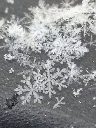 Photo by Gale Miko Here is a close up of the different snowflakes that came down in the last snow in Wantage.