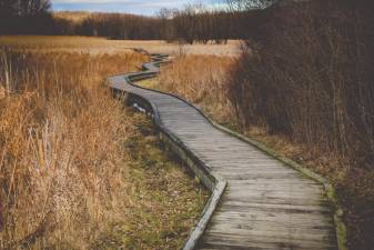 Pochuck Boardwalk on the Appalachian Trail in Vernon. (Photo by Sammie Finch)