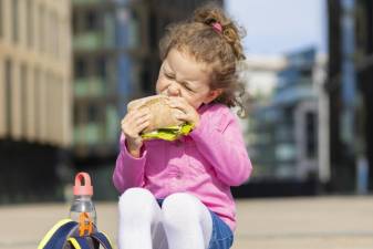 The ins and outs of school meals