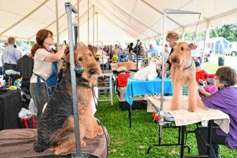 <b>The Shetland Sheepdog Club of Northern New Jersey hosts End of Summer Fling dog shows Aug. 29-Sept. 2 at the Sussex County Fairgrounds. (Photos by Maria Kovic)</b>