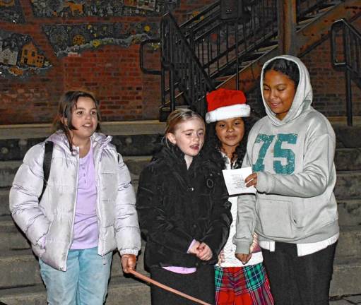 Photos: Sussex Borough Christmas tree lighting