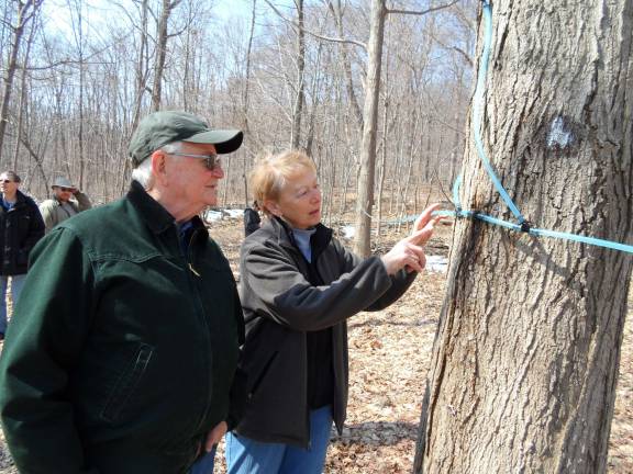 John and Terry Healy of Highland Lakes check out the new taps and check valves on the trees.