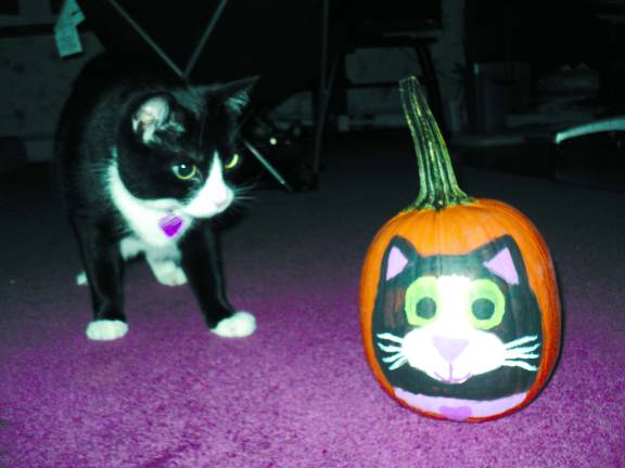 Submitted by Tara Waldron of Sussex, N.J. Tara, age10, painted her cat.