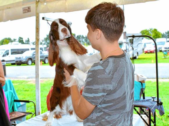 Photos: End of Summer Fling dog shows