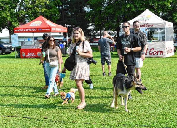 <b>Dogs of all sizes accompanied by their owners at the Pupstock Festival.</b>