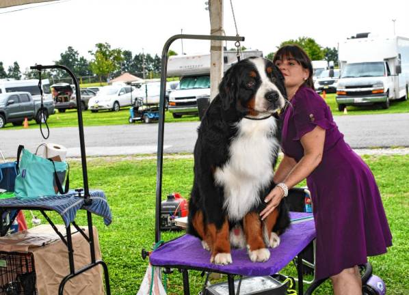 Photos: End of Summer Fling dog shows