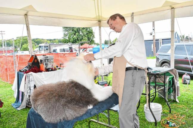 Photos: End of Summer Fling dog shows