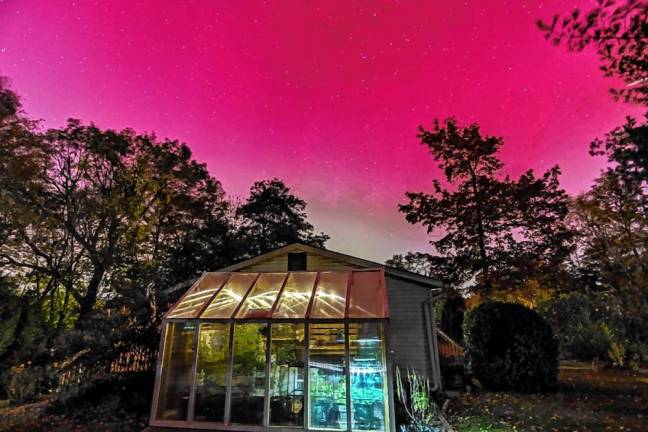 <b>The northern lights turn the sky a fuchsia color with streaks and stars in Wantage on Thursday, Oct. 10. (Photo courtesy of Cheryl Fleishman)</b>