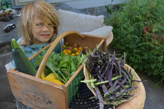 Dion, 5, checks out the garden haul on Aug. 27 before his second day of kindergarten