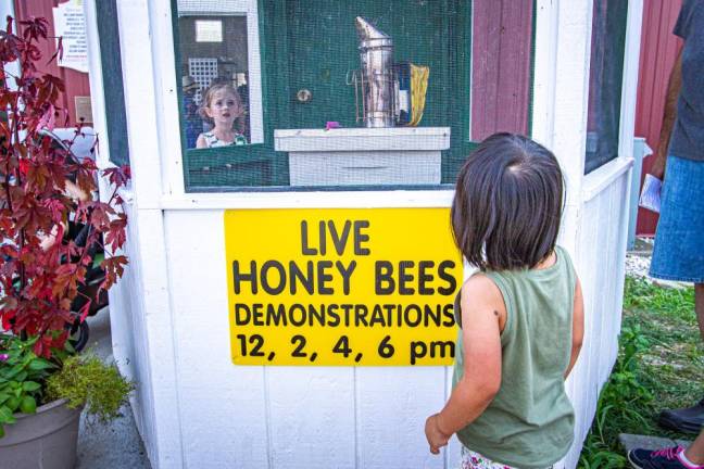 <b>Children and adults alike take in live honeybee demonstrations at the fair daily.</b>