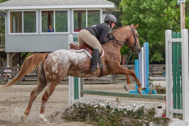 Crossword Puzzle: Can you find these animals at the fair?