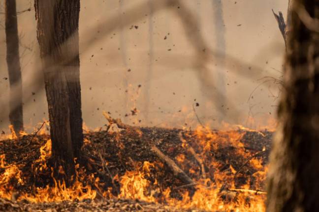 High winds presented challenges as did dry leaves, vegetation and other debris.. (Photo courtesy of state Department of Environmental Protection)