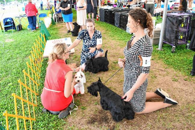 <b>Participating were the Monticello, Newton, Sussex Hills and Schooley’s Mountain kennel clubs.</b>