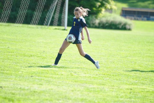 <b>Vernon's Mary Duffy uses her body to stop the ball in midair.</b>