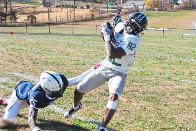 A DuPage wideout catche the ball as a Sussex County defender gets a hand on him in the first half.