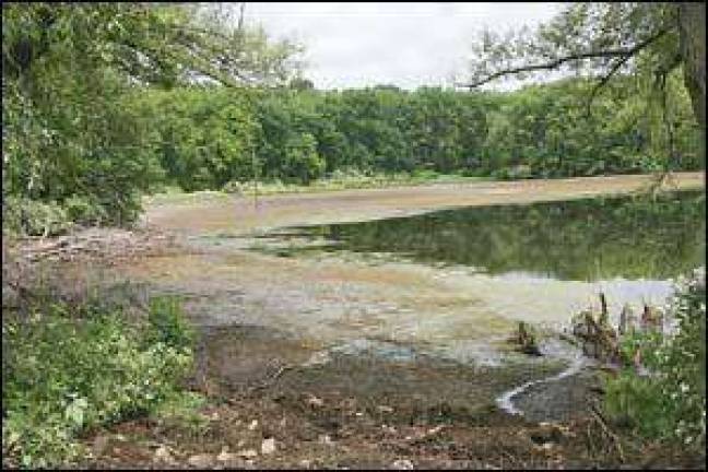 Lafayette pond falls victim to standoff