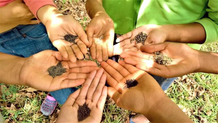 The food potential of donated seeds brings hope and health to others