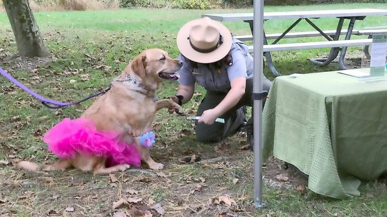 A fancy pup is sworn in as a BARK Ranger. (NPS Photo/C. Buta)